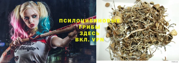 ешки Волоколамск