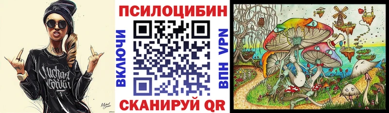 закладки  Вилючинск  Галлюциногенные грибы Psilocybe 