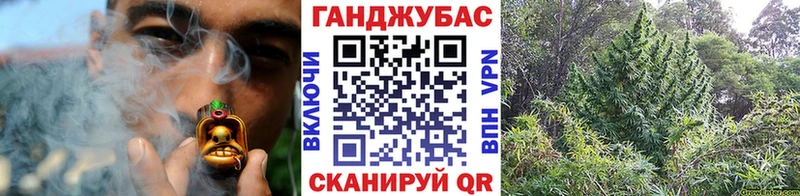 даркнет состав  hydra   Шишки марихуана план  Вилючинск  где купить наркоту 